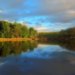 Broadley Pond